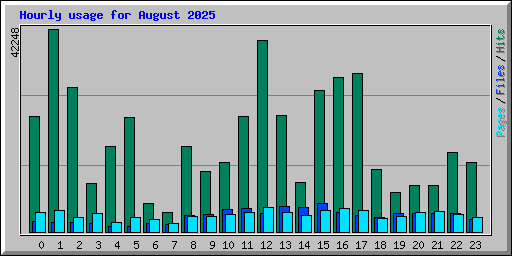 Hourly usage for August 2025