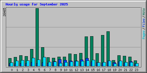 Hourly usage for September 2025