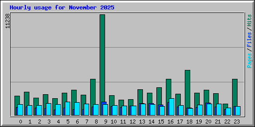 Hourly usage for November 2025