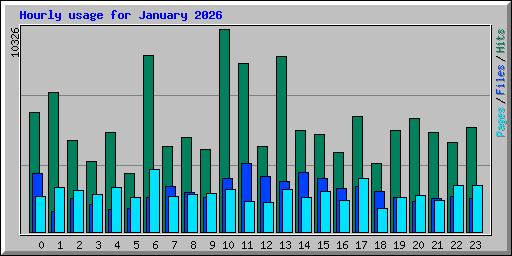 Hourly usage for January 2026