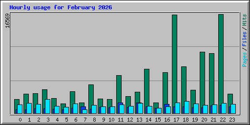 Hourly usage for February 2026