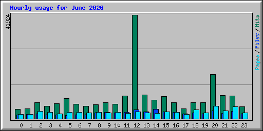 Hourly usage for June 2026