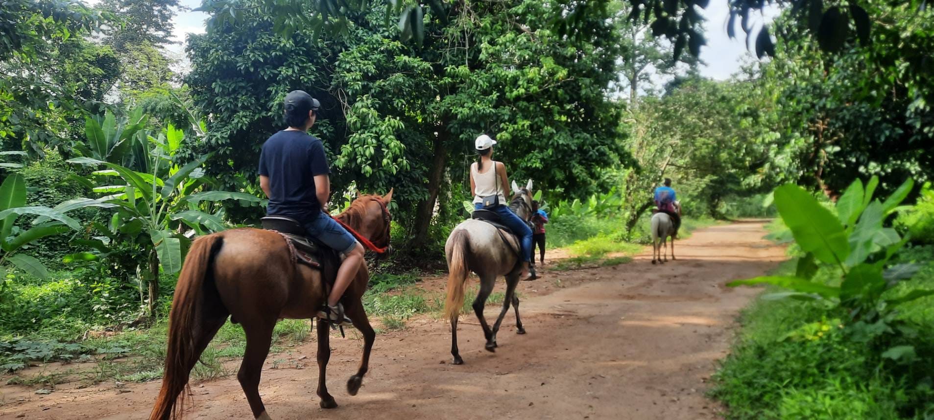 ขี่ม้าชมธรรมชาติ Horse Trail Riding นครนายก ขี่ม้าชมธรรมชาติ Horse Trail Riding นครนายก